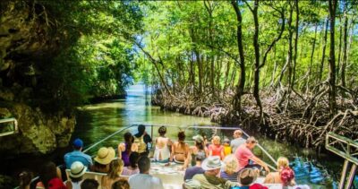 Punta Cana: Los Haitises National Park Full-Day Tour