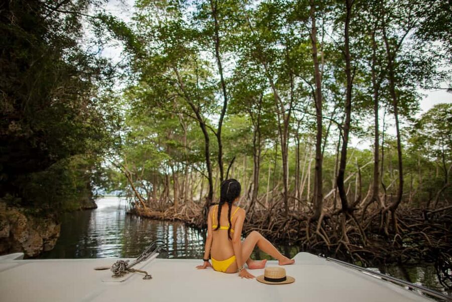 Punta Cana: Los Haitises National Park Full-Day Tour - The transport, timing, and daily pace