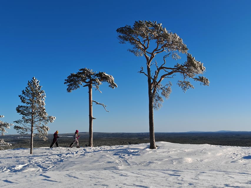 Pyhätunturi: Try Wilderness Skiing in Finnish Lapland - What the $133 price covers