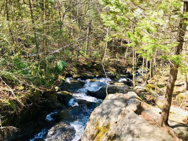 Quebec City: Guided Hike in Jacques-Cartier National Park - Weather, clothing, and trail comfort