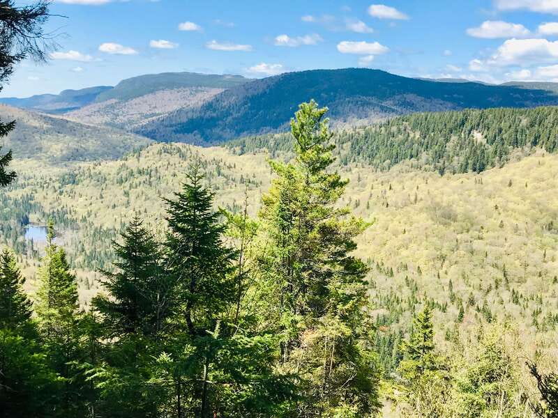 Quebec City: Guided Hike in Jacques-Cartier National Park - Who should book this outing