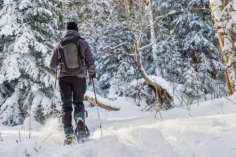 Quebec City: Jacques-Cartier National Park Snowshoeing Tour - Leaving Quebec City by bus