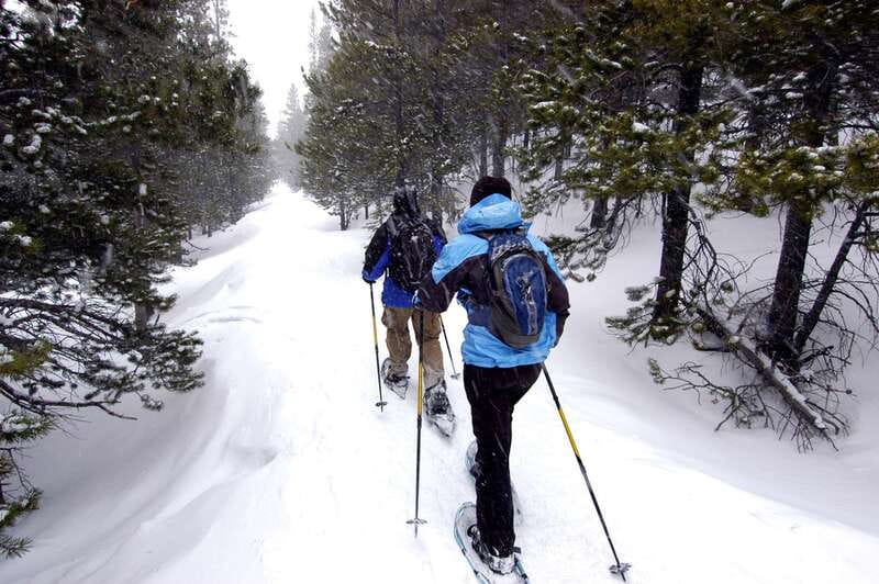 Quebec City: Jacques-Cartier National Park Snowshoeing Tour - Following Belleau Creek and the Sautauriski River