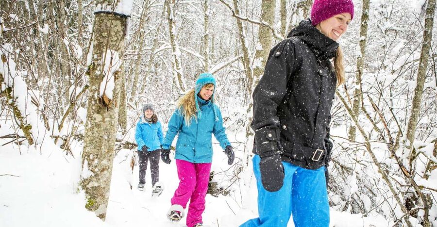 Quebec City: Jacques-Cartier National Park Snowshoeing Tour - Hot chocolate, local snacks, and lunch