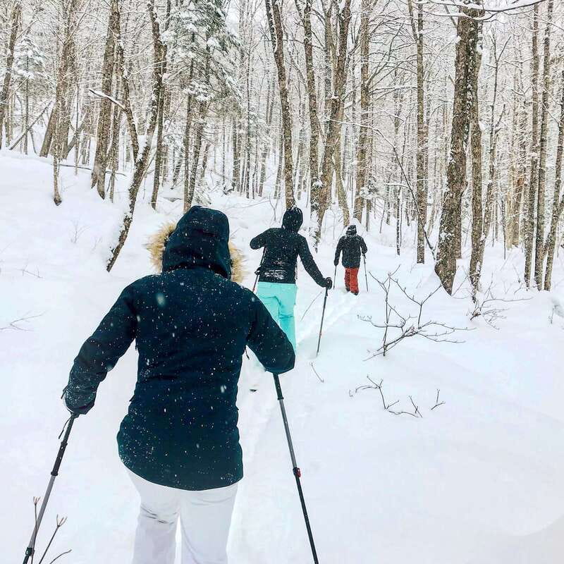 Quebec City: Jacques-Cartier National Park Snowshoeing Tour - Families, fitness, and mobility
