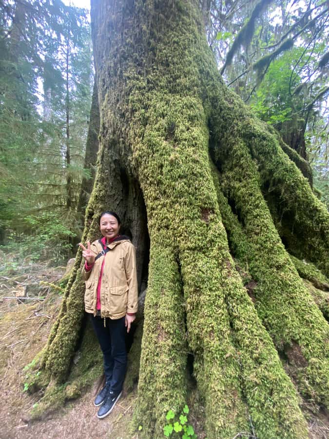 Rainforest and Olympic National Park Highlights - Quinault Rainforest and Lake Quinault Lodge