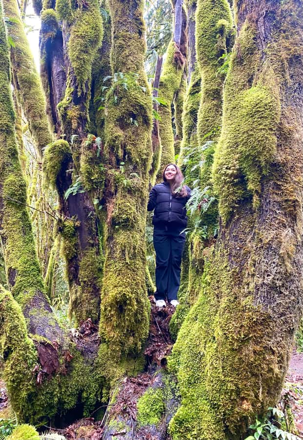 Rainforest and Olympic National Park Highlights - Lake Crescent’s peninsula viewpoint