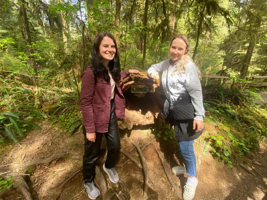 Rainforest and Olympic National Park Highlights - What the $275 price includes