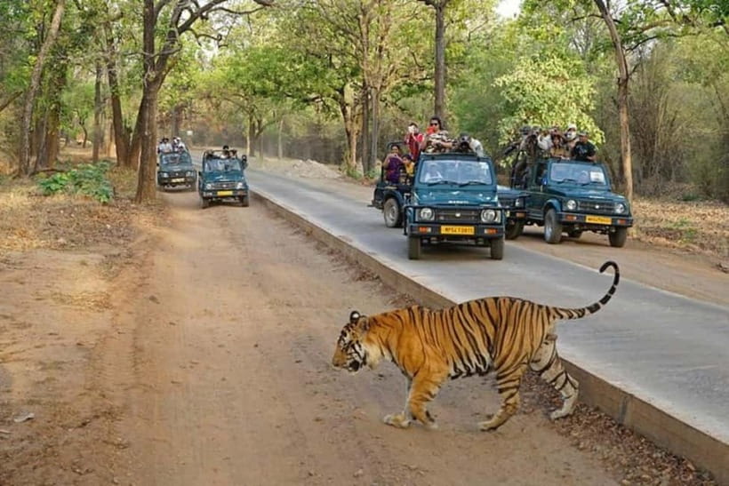 Ranthambore National Park: Jeep Safari from Sawai Madhopur - Meeting near Sawai Madhopur and getting ready
