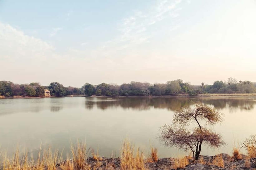 Ranthambore National Park: Safari Ticket with Pickup Option - What the $54 price includes