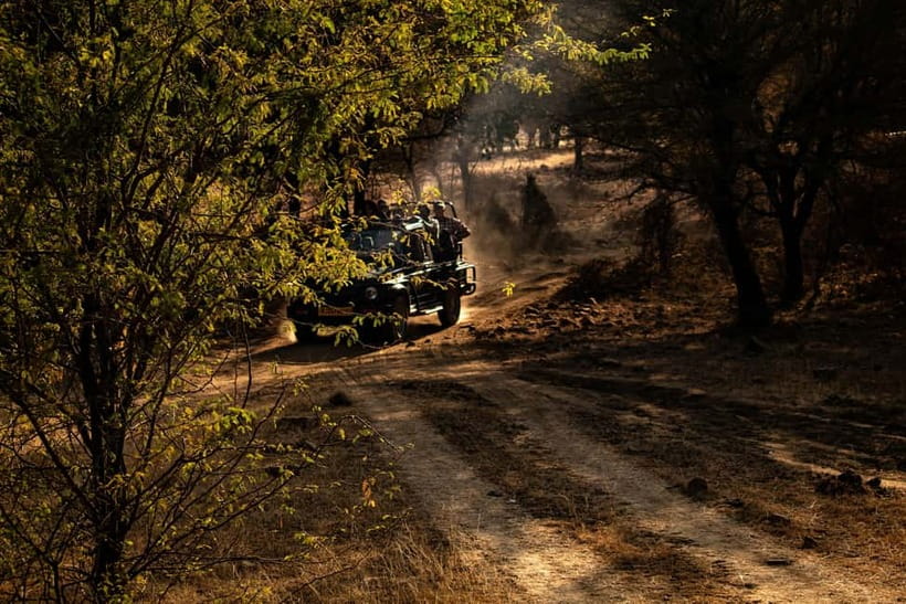 Ranthambore National Park: Safari Ticket with Pickup Option - Who will enjoy this Ranthambore safari?
