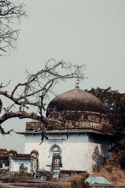 Ranthambore National Park: Safari Ticket with Pickup Option - Should you book it?