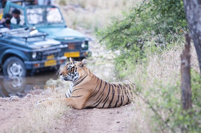 Ranthambore Wildlife Safari Day Trip from Jaipur - The long road from Jaipur to Ranthambore