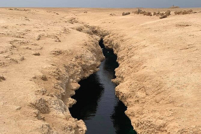 Ras Mohamed National Park Half Day Tour by Bus In Sharm El Sheikh - Coral Gardens and shore snorkeling