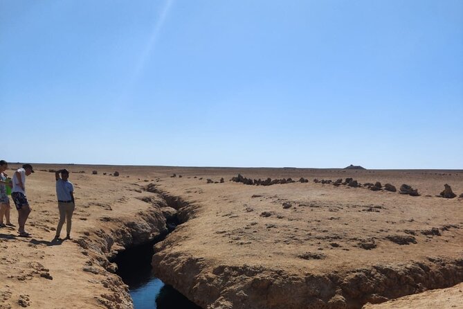 Ras Mohamed National Park Half Day Tour by Bus In Sharm El Sheikh - Magic Lake for swimming and a slower pause