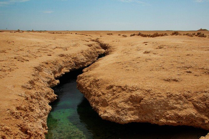 Ras Mohamed National Park Half Day Tour by Bus In Sharm El Sheikh - Guides, languages, and group atmosphere