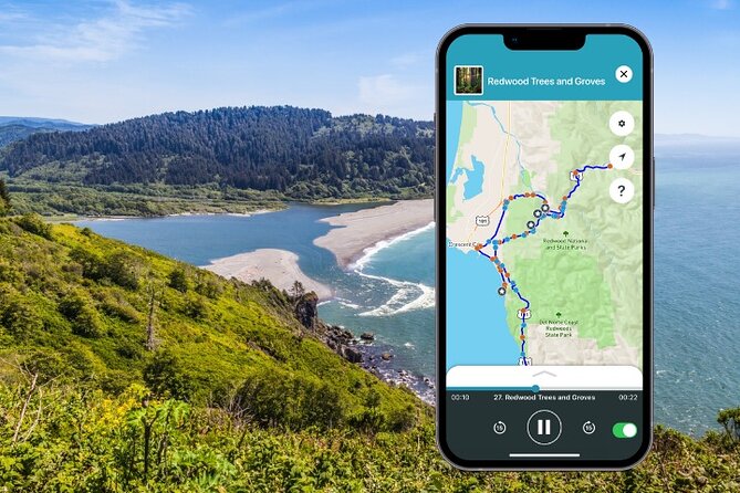 Redwood National Park Self-Guided Audio Tour - A long redwood route with room to roam