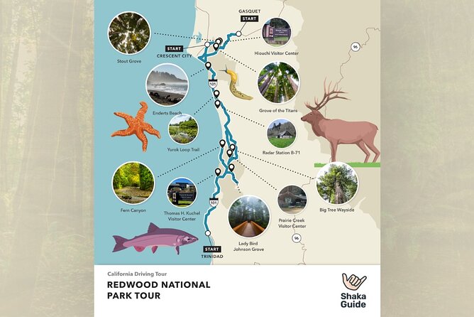 Redwood National Park Self-Guided Audio Tour - Trees of Mystery and the Klamath River
