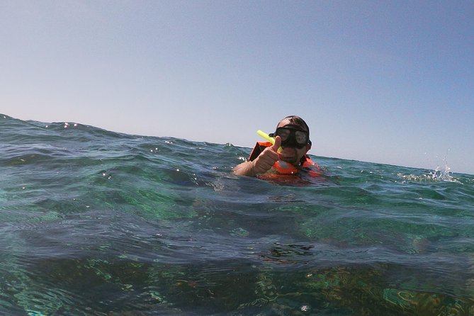 Reef Snorkel In National Park In Puerto Morelos With Lunch And Transportation - Snorkeling the National Reef Park