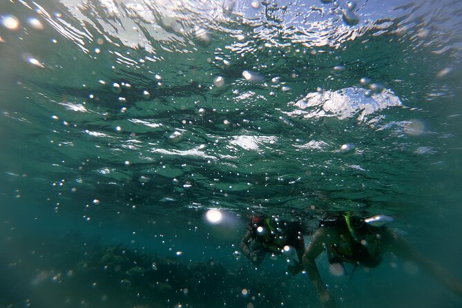 Reef Snorkel In National Park In Puerto Morelos With Lunch And Transportation - The tequila presentation and extra sales