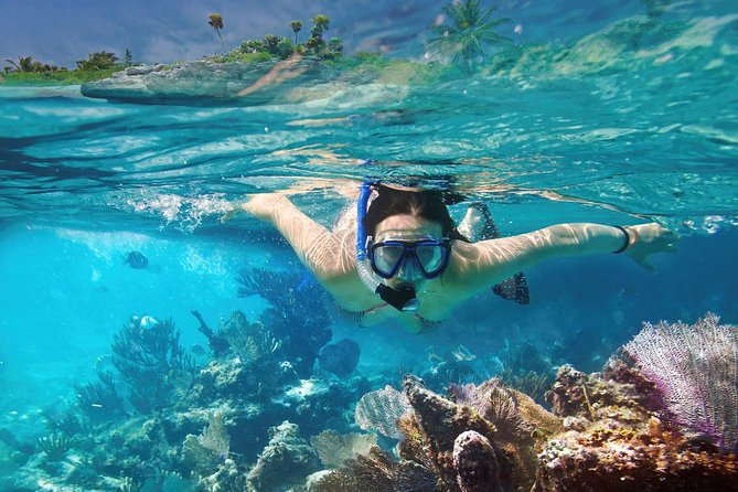 Reef Snorkel In National Park In Puerto Morelos With Lunch And Transportation - Who will enjoy this most?