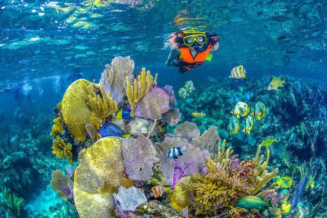 Reef Snorkel In National Park In Puerto Morelos With Lunch And Transportation - Preparing for the reef park