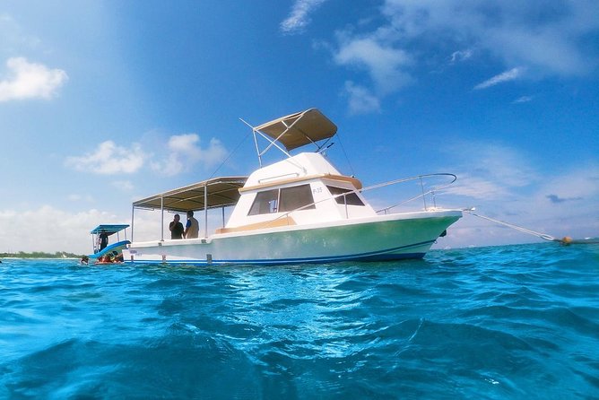 Reef Snorkeling in National Park from Cancun with Beachside Lunch - Who should book this Puerto Morelos outing?