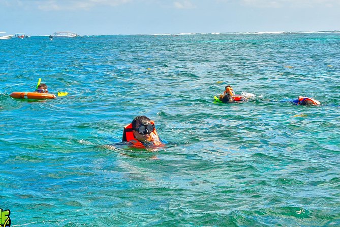Reef Snorkeling in National Park from Cancun with Beachside Lunch - Should you book it?