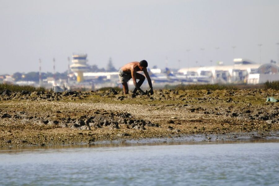 Ria Formosa National Park: Kayak Trip - What the $58 price covers