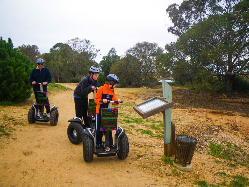 Ria Formosa National Park Segway Tour & Seafood Lunch - Quinta do Lago, luxury beside the nature reserve