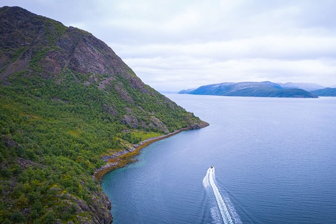 RIB Expedition to Seiland National Park - 3.5h - Seiland’s birds, plants, and ice