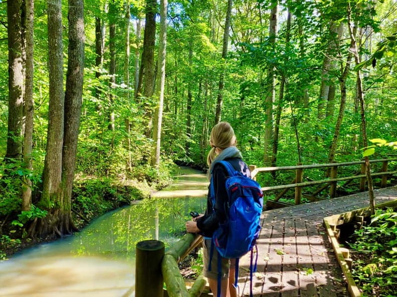 Riga: Best of Kemeri National Park In One Day - Why Kemeri makes a smart day trip from Riga