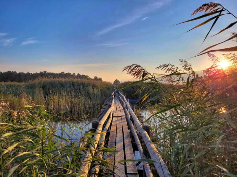 Riga: Best of Kemeri National Park In One Day - Lake Kaņieris and the birdwatching tower