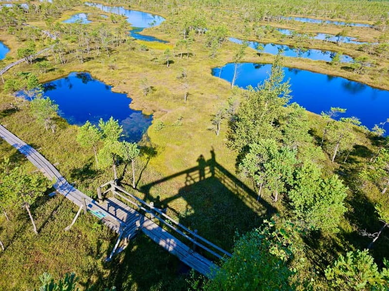 Riga: Best of Kemeri National Park In One Day - What the guide adds to the day