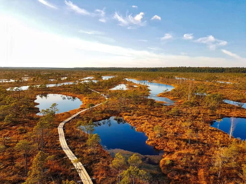 Riga: Best of Kemeri National Park In One Day - Should you book the Kemeri day trip?