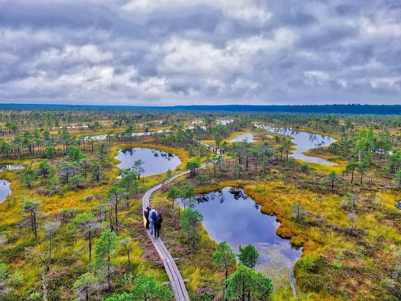 Riga: Best of Kemeri National Park In One Day - Starting at the Great Ķemeri Bog Boardwalk