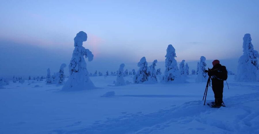 Riisitunturi National Park Snowshoe Experience - Key points at a glance