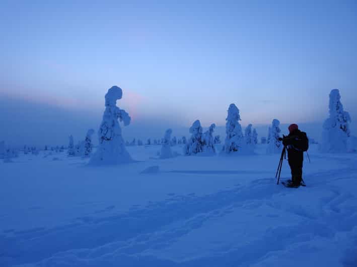 Riisitunturi National Park Snowshoe Experience - Starting from Ruka or Kuusamo