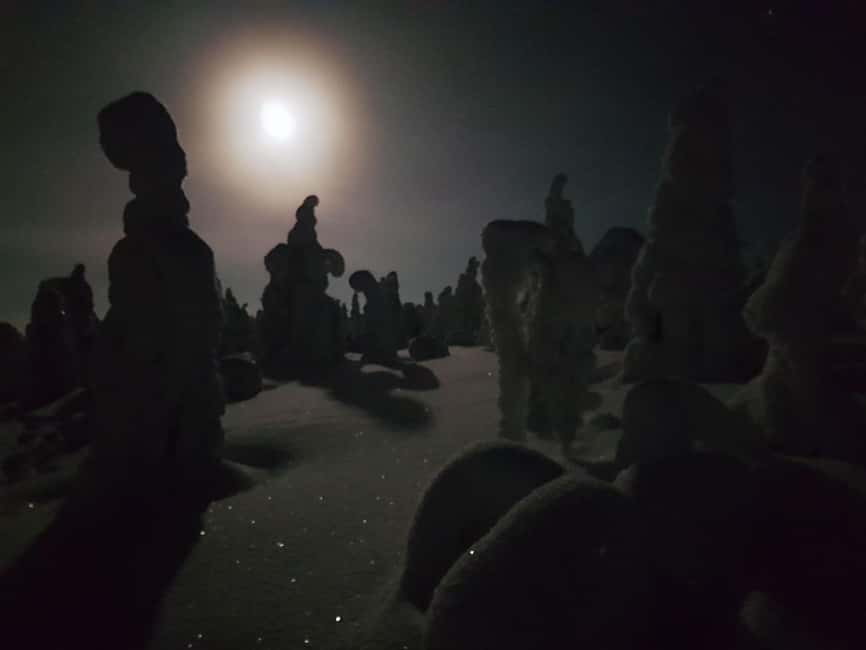Riisitunturi National Park Snowshoe Experience - Who will enjoy this outing most
