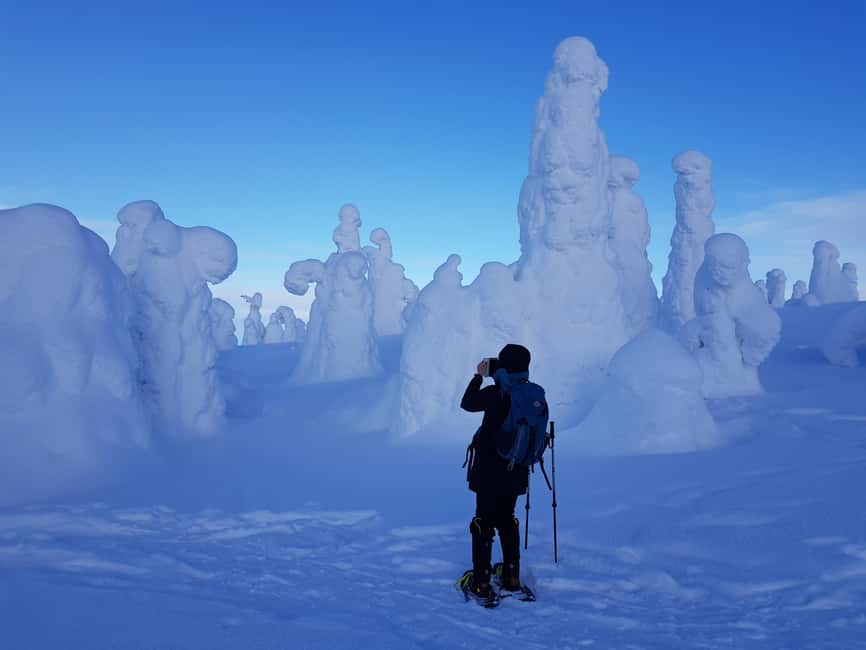 Riisitunturi National Park Snowshoe Experience - Four hours on snowshoes in the national park