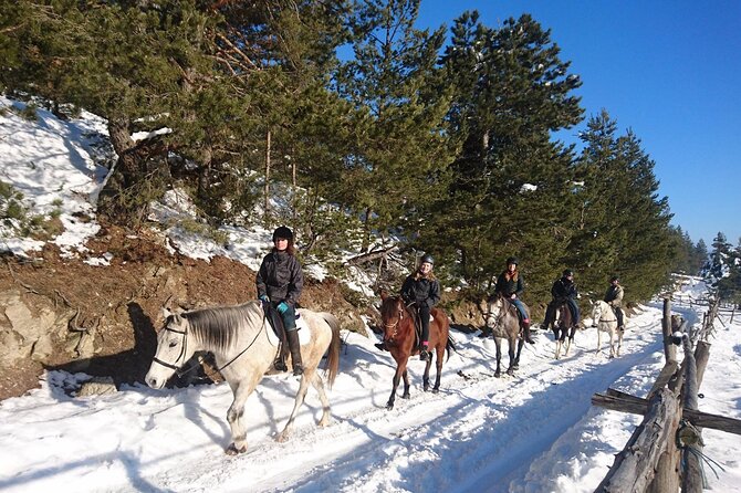 Rila National Park Horse Riding Adventure - Photos Without a Separate Photography Package