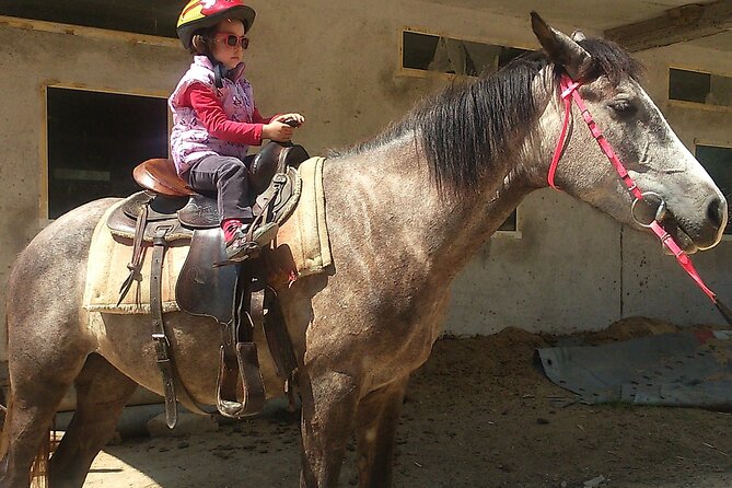 Rila National Park Horse Riding Adventure - Who Will Get the Most From This Ride