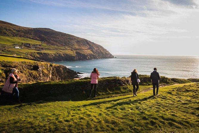 Ring of Kerry Day Tour from Cork: Including Killarney National Park - What you get for $71.20