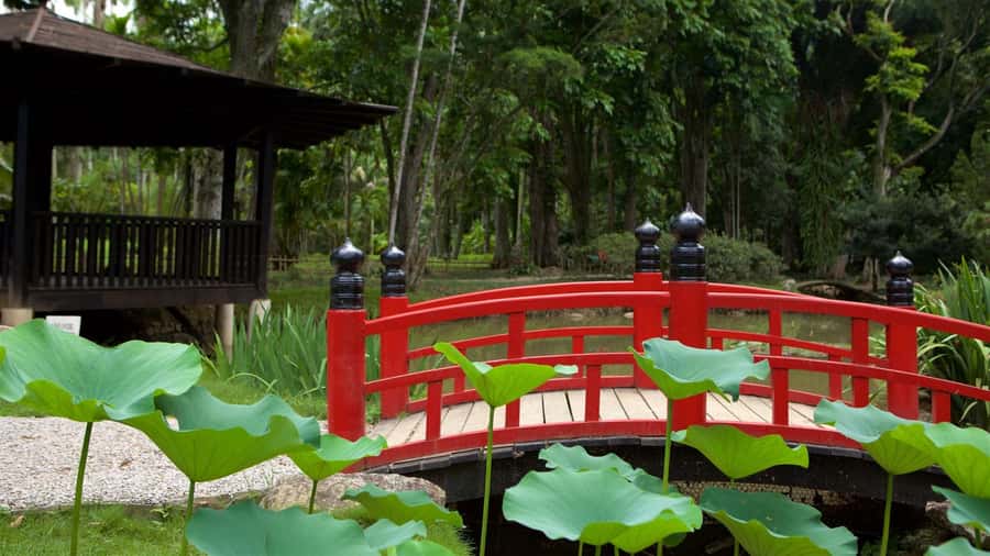 Rio de Janeiro: Tijuca National Park & Botanic Garden Tour - FAQ