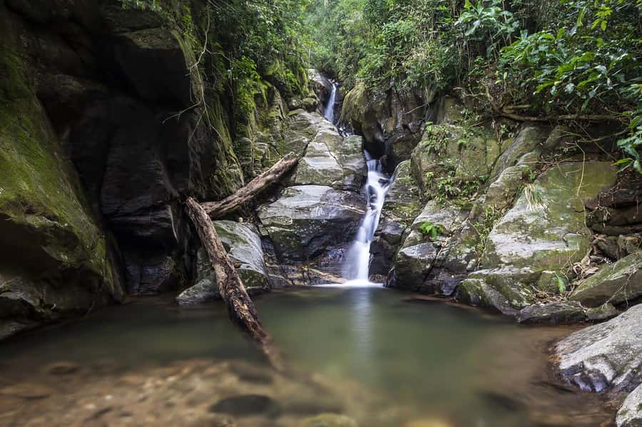 Rio de Janeiro: Tijuca National Park & Botanic Garden Tour - Vista Chinesa and Rio’s famous silhouettes