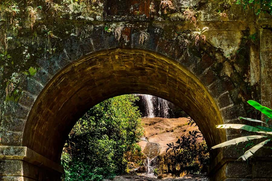Rio de Janeiro: Tijuca National Park & Botanic Garden Tour - What the guide adds to the four-hour route