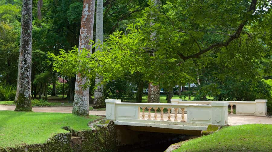 Rio de Janeiro: Tijuca National Park & Botanic Garden Tour - Smart ways to prepare