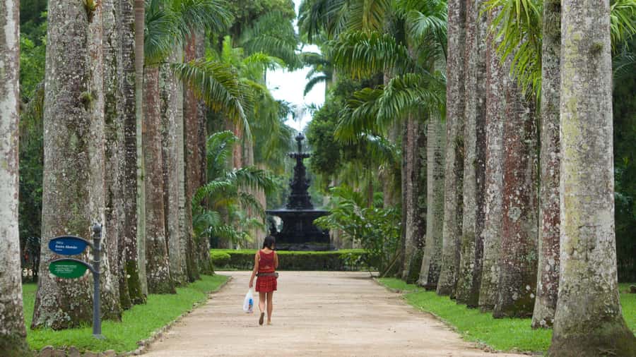 Rio de Janeiro: Tijuca National Park & Botanic Garden Tour - Should you book it?