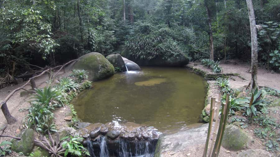 Rio de Janeiro: Tijuca National Park EcoTour - Cascatinha Taunay, the waterfall stop
