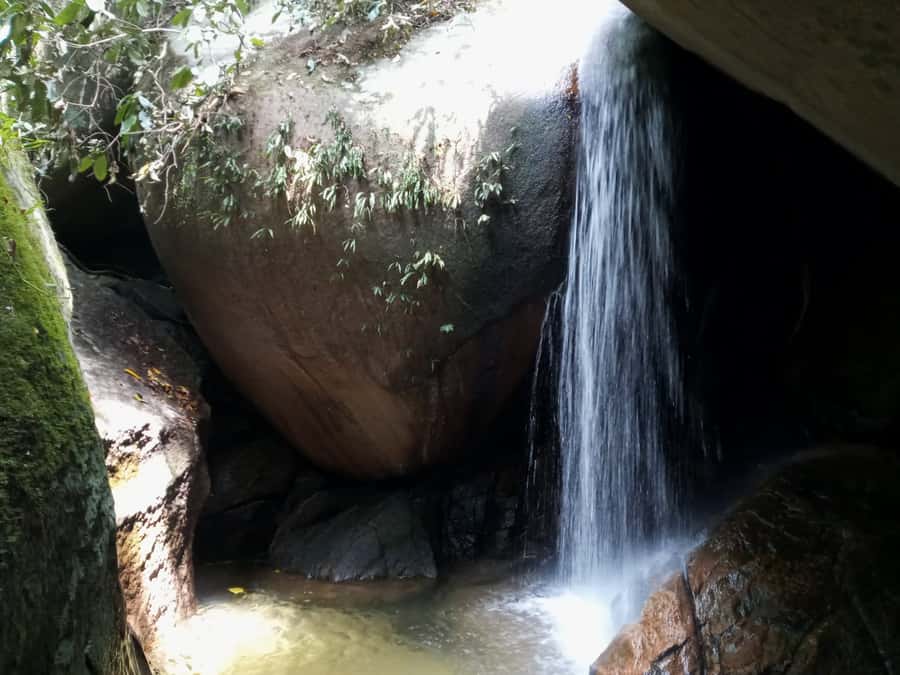 Rio de Janeiro: Tijuca National Park EcoTour - Is the $83 price good value?
